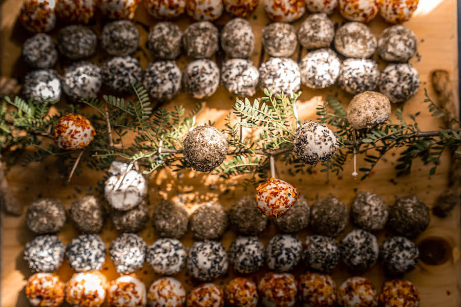 Owl Route 2024 7 6 2.jpg