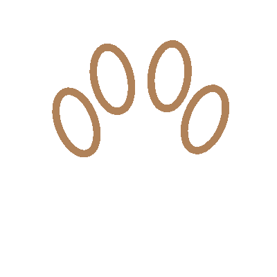 c icon visual 01 1.gif