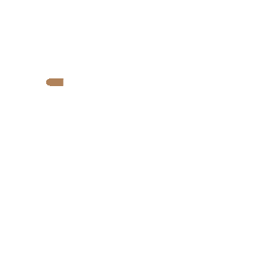 c icon visual 03 1.gif