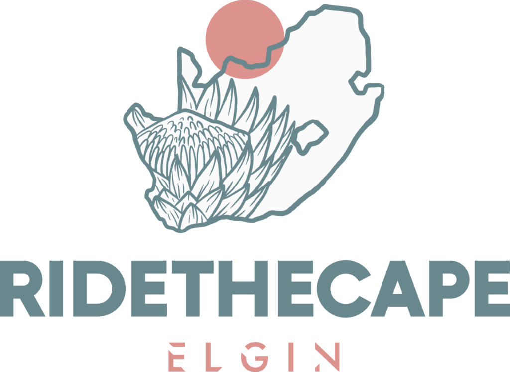 fulllogo transparent nobuffer 2.png